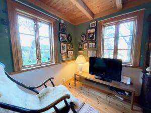 TV a/nebo společenská místnost v ubytování Cabin with charm in Lofoten