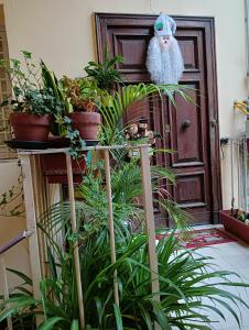 a group of potted plants in front of a door at LA CASA DEL RIONE SANITA’ in Naples