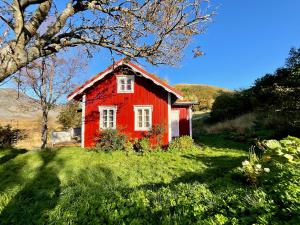 a red house in the middle of a field at Cabin with charm in Lofoten in Valberg