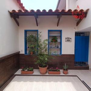 a building with three windows and potted plants at Namaste Hostel in Tarija
