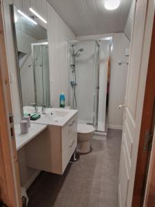 La salle de bains est pourvue d'un lavabo, d'une douche et de toilettes. dans l'établissement la maison des fleurs studio, à Le Mont-Dore