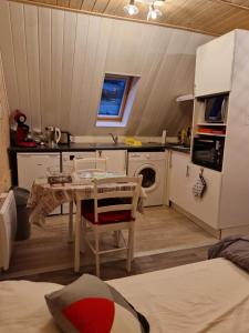 Kuchyňa alebo kuchynka v ubytovaní la maison des fleurs studio