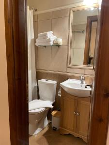 a bathroom with a toilet and a sink and a mirror at Valentini Guesthouse in Karpenision