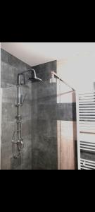 a shower with a shower head in a bathroom at Ski View in Poiana Brasov