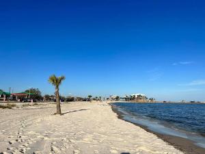 a palm tree on a sandy beach next to the water at Spacious House Minutes to Beach, Casino, Aquarium in Long Beach