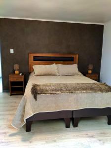 ein Schlafzimmer mit einem großen Bett mit zwei Nachttischen in der Unterkunft Moderna Cabaña con tinaja caliente in Pirque