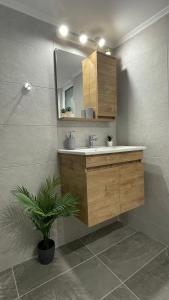 a bathroom with a sink and a mirror and a plant at Seaview apartment in Piraeus