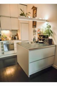 a kitchen with a sink and a counter top at Lovely, 1898 Jugendstil Design Apartment, old Haarlem city Centre, Fully Renovated with Parkview near Amsterdam and Zandvoort, Bloemendaal Beach in Haarlem