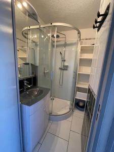 uma casa de banho com um chuveiro e um lavatório. em Superbe appartement 6 personnes avec piscine secteur Richelieu, à 400m de la plage et à 650m du centre port em Cap d'Agde