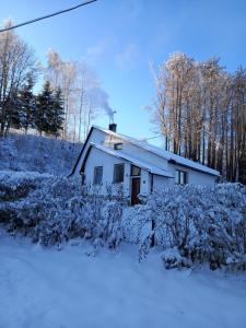 a house covered in snow in a field at Chalupa V Mlýnkách in Bělá pod Pradědem
