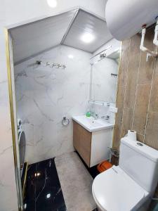 a bathroom with a shower and a toilet and a sink at Supper Apartment in Tashkent