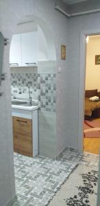 eine Küche mit einer Spüle und einer Theke in der Unterkunft MamaiaApart in Lupeni