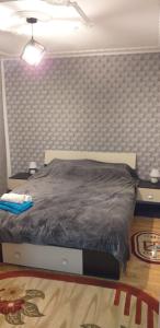 ein Schlafzimmer mit einem großen Bett mit einer Wand in der Unterkunft MamaiaApart in Lupeni