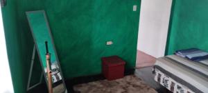 ein grünes Zimmer mit einem Bett und einer grünen Wand in der Unterkunft Galapagos Morning Glory in Puerto Ayora