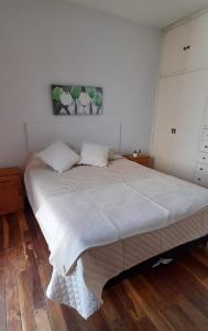 Cama grande en habitación con suelo de madera en Departamento céntrico en San Martín, amplio, con aire acondicionado y cochera privada en San Martín