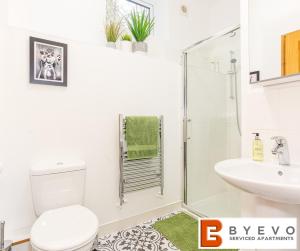 een badkamer met een douche, een toilet en een wastafel bij ByEvo Oswestry Barn - Quirky romantic retreat or cosy contractor base in Oswestry