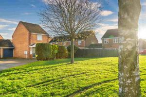 a tree in the middle of a yard with houses at Taylor Close in Fishtoft