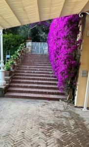 un montón de flores púrpuras colgando de un edificio en Villa Vie En Rose en Sorrento
