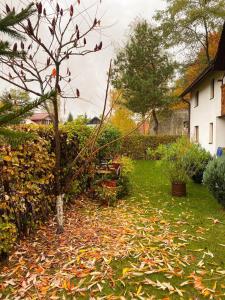einen Garten mit einem Baum und Blättern auf dem Gras in der Unterkunft Cabana Tudor in Avrig