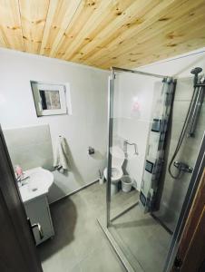 ein Bad mit einer Dusche, einem WC und einem Waschbecken in der Unterkunft Cabana Tudor in Avrig