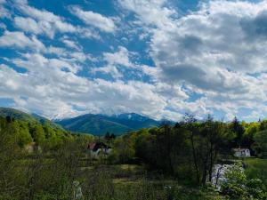 a view of a valley with mountains in the distance at Cabana Tudor in Avrig
