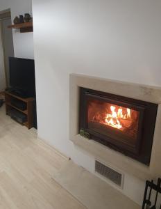 a fireplace in a living room with a fire in it at Penthouse Harriet Bansko in Bansko