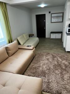 a living room with a couch and a rug at Apartament 9 Central in Târgu-Mureş +8 photos