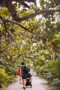 Hosté ubytování Ikal Tulum Hotel