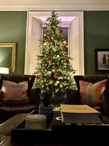 a christmas tree in a living room with a couch at Large Holiday Home perfect for family gatherings in Angus