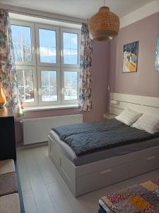 ein Schlafzimmer mit einem Bett in einem Zimmer mit Fenstern in der Unterkunft Apartament Flins z garażem in Świeradów-Zdrój
