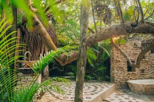 Zahrada ubytování Ikal Tulum Hotel