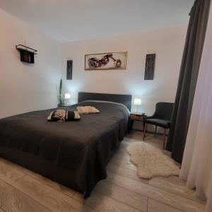 - une chambre avec un lit et une chaise dans l'établissement Nico, à Piatra Neamţ