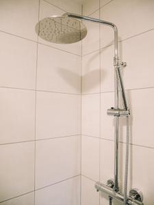 a shower with a shower head in a bathroom at Willy´s Ferienzimmer im Tabakdorf Hatzenbühl 