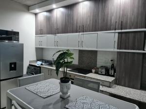 a kitchen with a table with a potted plant on it at Stunning City Living at Loftus in Pretoria