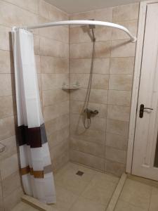 a shower with a shower curtain in a bathroom at Гостьовий двір in Yaremche