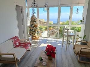 a living room with a christmas tree in a room with windows at La Casita del Arco Panorámico in San Pedro