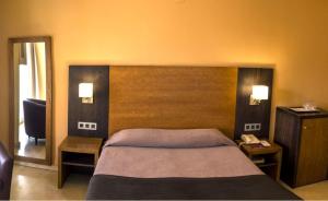 a bedroom with a large bed and a mirror at Rincón Sol in Rincón de la Victoria