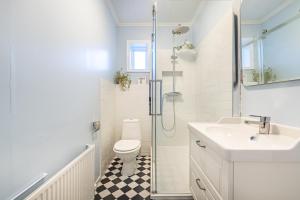 a bathroom with a toilet and a sink and a shower at The Gallery in Reykjavík