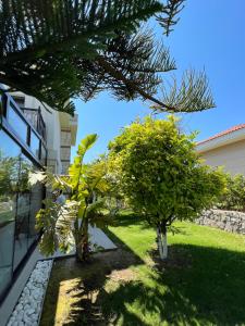 a garden with two trees and a building at Dalyan Risus Suite in Çeşme