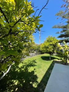 a garden with green grass and trees and a pathway at Dalyan Risus Suite in Çeşme