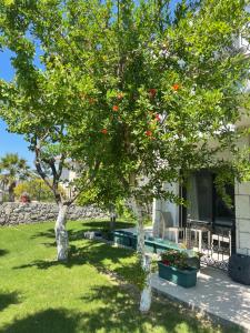 a tree in front of a house with red flowers at Dalyan Risus Suite in Çeşme