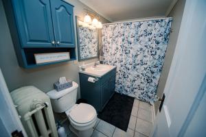 La salle de bains est pourvue de toilettes, d'un lavabo et de placards bleus. dans l'établissement Spacious three bedroom home with a large deck!, à Columbus