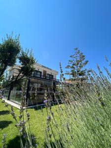 a house on a hill with a field of grass at Dalyan Risus Suite in Çeşme
