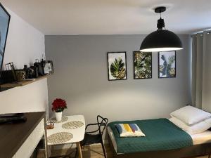 mały pokój z łóżkiem, stołem i stołem oraz tableablish w obiekcie Apartamenty Błogi Sen II- komfortowy nocleg w spokojnej lokalizacji w Zabrzu