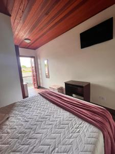 1 dormitorio con 1 cama grande y TV en Pousada Araucária Village, en Campos do Jordão