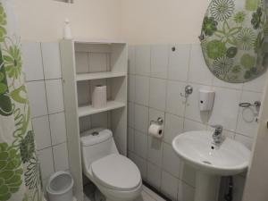 a small bathroom with a toilet and a sink at Hostal Ribera de Quitor in San Pedro de Atacama +18 photos