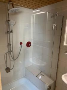 a shower with a glass door in a bathroom at Haus Nacke in Möhnesee