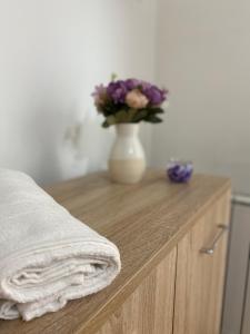 Φωτογραφία από το άλμπουμ του Ejna Apartment στο Σαράγεβο