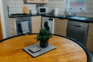 a potted plant sitting on a table in a kitchen at Belfast City self catering 3 bedroom town house in Belfast
