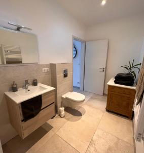 La salle de bains est pourvue d'un lavabo blanc et de toilettes. dans l'établissement Appartement plain-pied au coeur de l'Alsace, à Muttersholtz